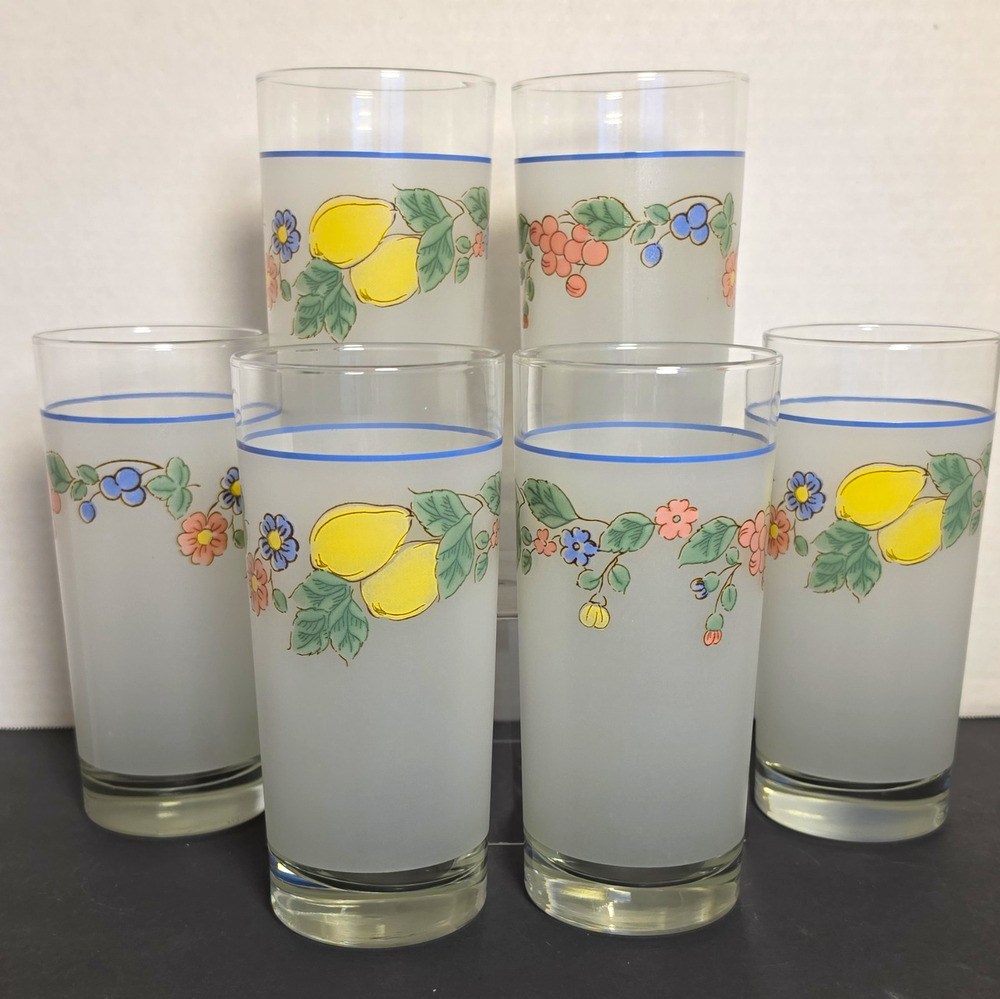 VTG Floral Expressions Set of 6 Frosted Glassware Floral/Lemon w/ Blue Rim 16oz